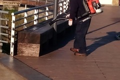 Desinfección de Muelle