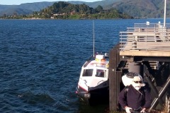 Desinfección de Muelle