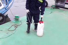Desinfección de Muelle