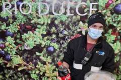 Día Mundial de la Salud y Seguridad en el Trabajo en Planta Primaria