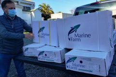 Donación de MF a hogares en Villarrica