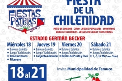 Municipalidad de Temuco 1