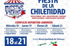 Municipalidad de Temuco 2