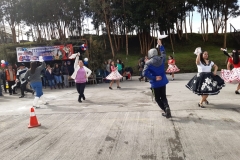 Planta Primaria