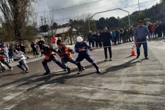 Planta Primaria