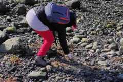 Limpieza de Playas en Ilque