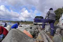 Limpieza de Playas en Ilque