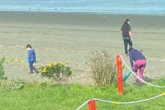 Limpieza de Playas en Queilen