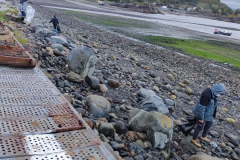 Limpieza de Playas en Metri y Quillaipe