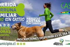 Municipalidad de Castro