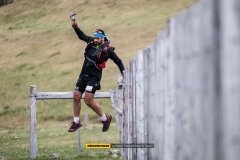 Ultra Paine 2019