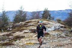 Ultra Paine 2019