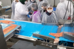 Visita al lugar de trabajo de padre o madre