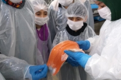 Visita al lugar de trabajo de padre o madre